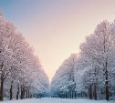 Пасмурно и ветер: прогноз погоды в Сахалинской области на 10 февраля