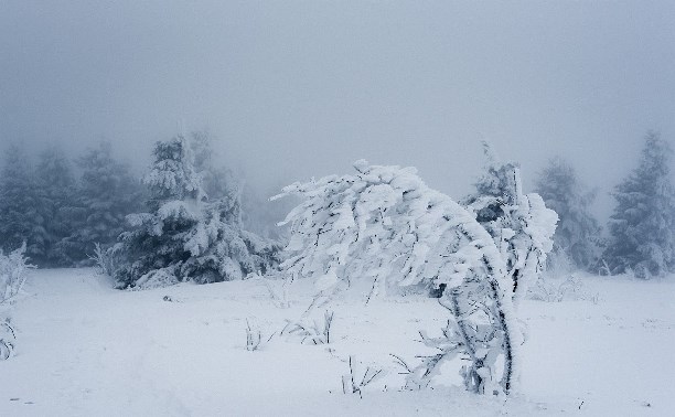  В Макаровском районе ограничили движение для всех видов транспорта