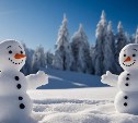 Южносахалинцев зовут в горпарк создавать снежные скульптуры