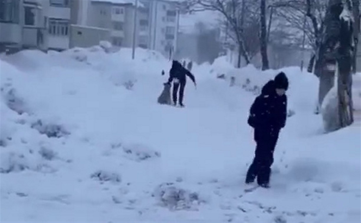 "Просто ужас!": в Поронайске на глазах у детей избили собаку