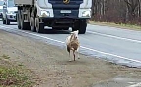 Общество