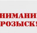 ОГИБДД Южно-Сахалинска просит откликнуться очевидцев ДТП, в котором пострадал ребенок