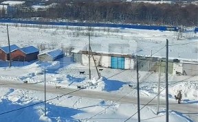 Происшествия