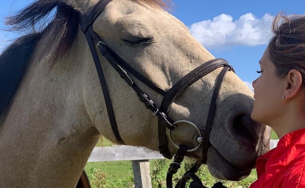 "Это ужасная реальность": лошади из ярких фотосессий сахалинцев умирают от голода на частной ферме 