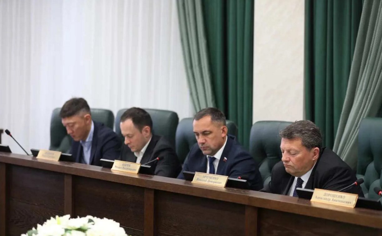 На Сахалине хотят легализовать около 65 гостевых домов