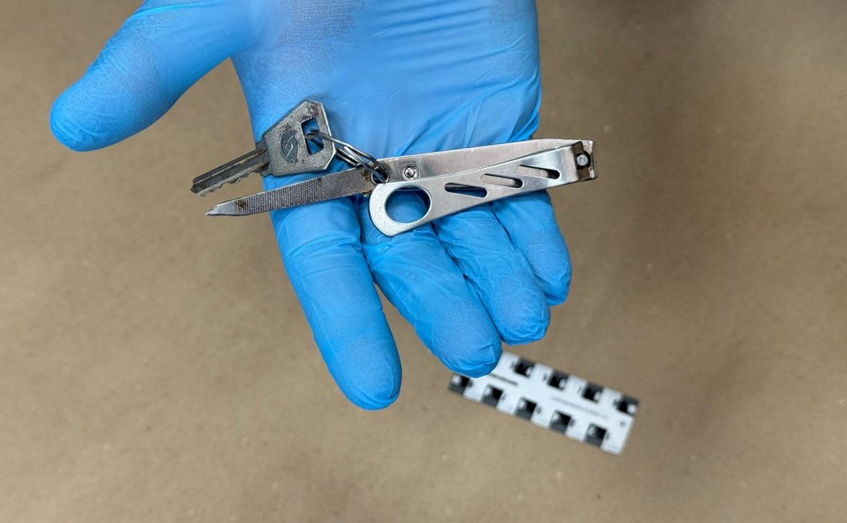 В Приамурье суд рассмотрит дело об убийстве книпстером