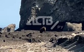 Общество