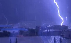 Общество