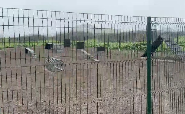 В Северо-Курильске появилась площадка для дрессировки собак