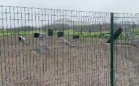 Общество