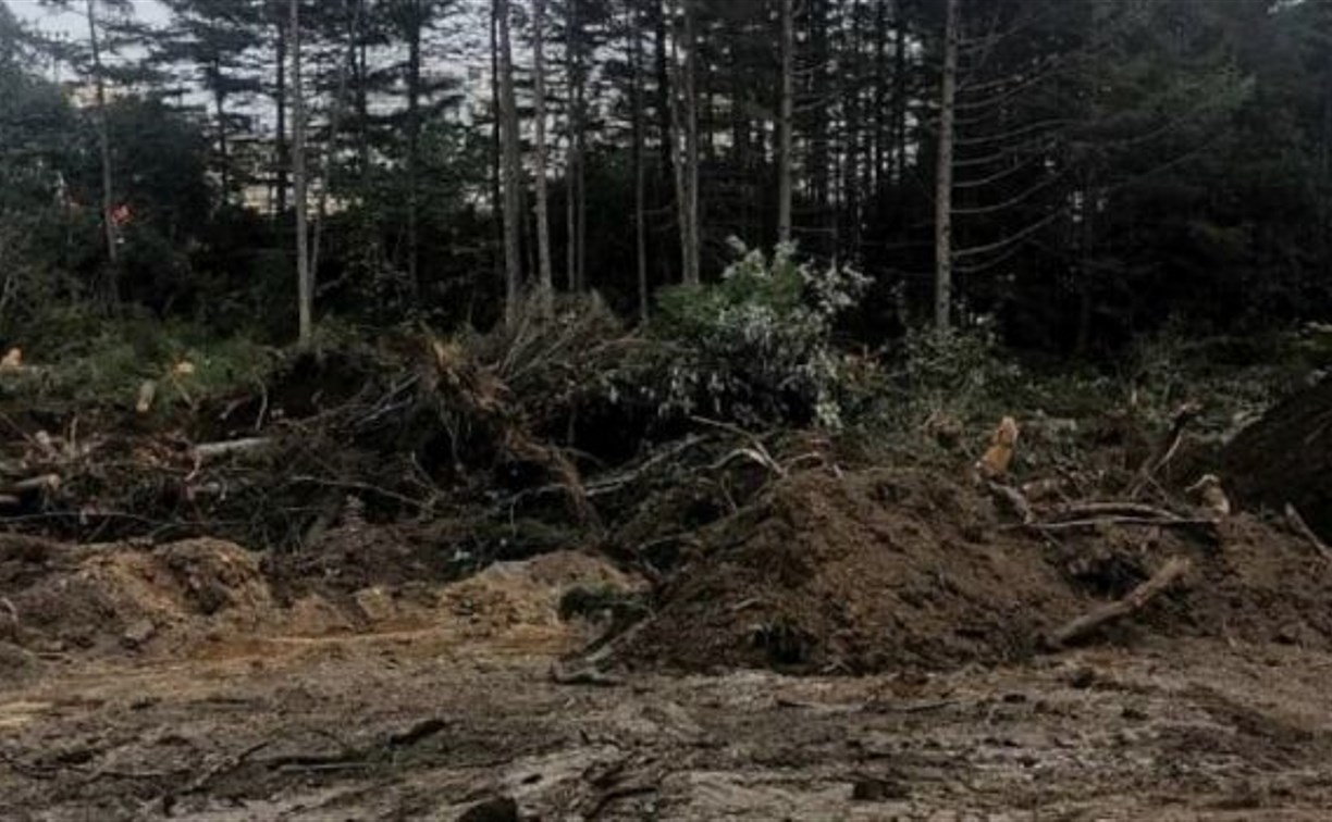Активистка из Южно-Сахалинска возмутились вырубке деревьев в парке в Охе