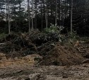 Активистка из Южно-Сахалинска возмутились вырубке деревьев в парке в Охе