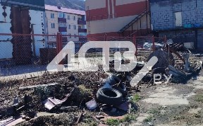 Общество
