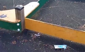 Общество