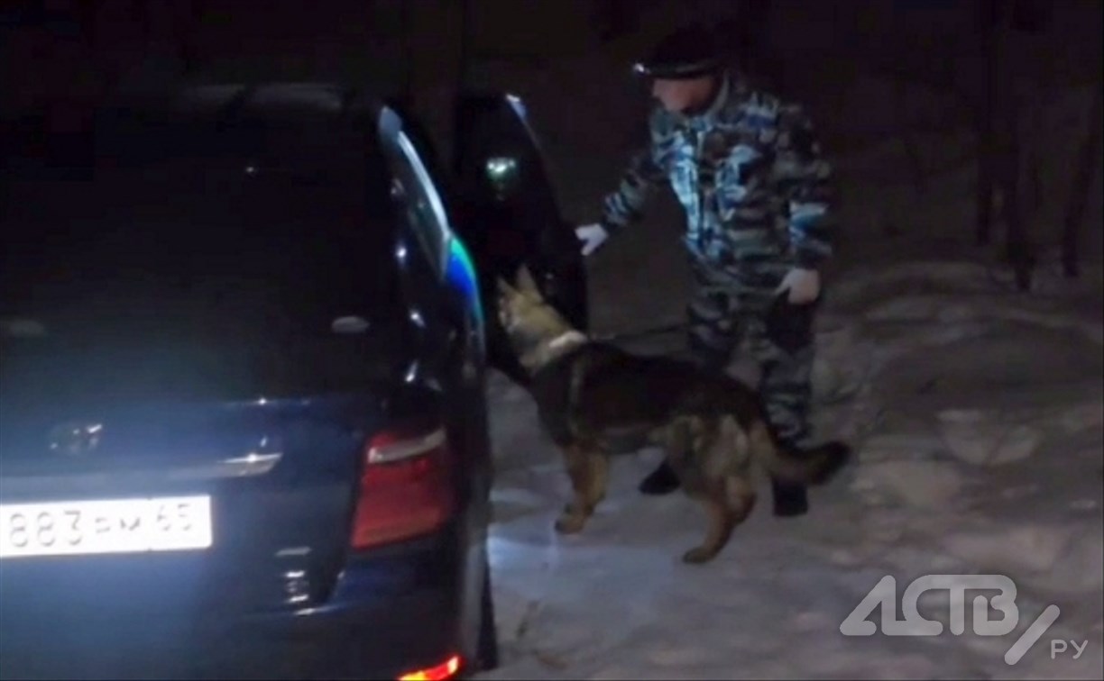 Треш на горе: каршеринг, полиция, закладки и служебная собака - как спасали машину в Южно-Сахалинске 