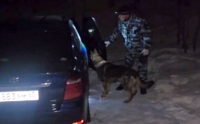 Происшествия