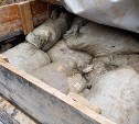 На Лютоге у браконьеров изъяли 38 мешков незаконно добытой корюшки