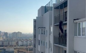 Происшествия