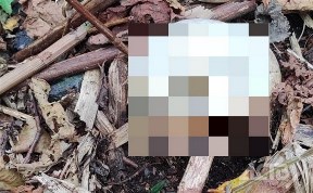 Общество