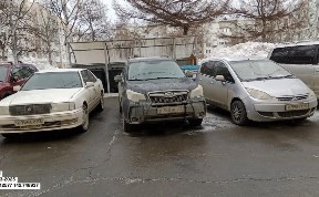 Общество