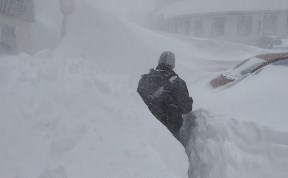 Общество