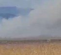 "Огонь до неба!": пожар на 10 гектарах на Сахалине тушили десять часов