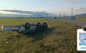 Происшествия