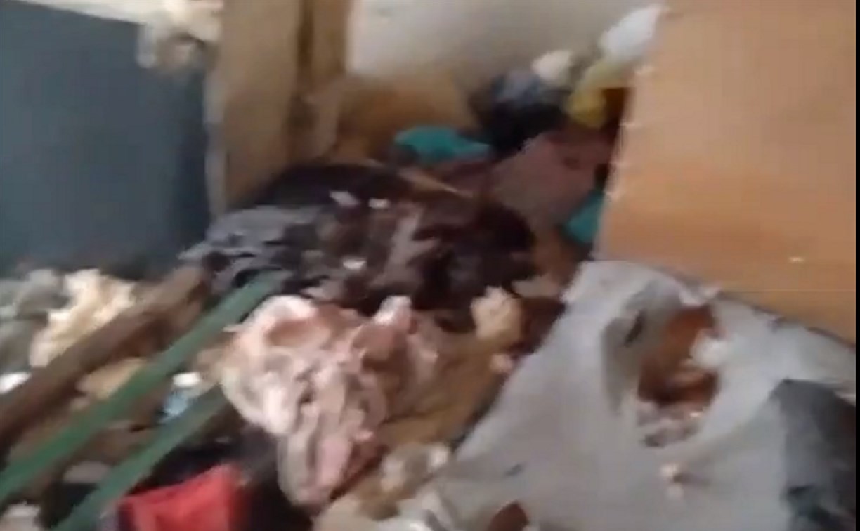 В Приморье соседи заварили дверь женщине, которая жила с 20 собаками и ела щенков