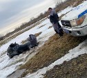 Погоню за квадроциклистом устроили сотрудники ГИБДД в Южно-Сахалинске
