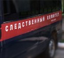 Бывший руководитель городского парка Южно-Сахалинска стал подозреваемым в уголовном деле о взятке