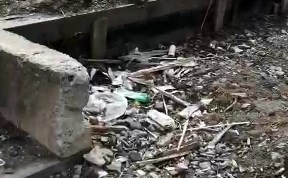 Общество
