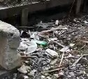 "Чья территория?": небольшой пятачок земли в центре Южно-Сахалинска у ж/д путей превратили в мусорку 