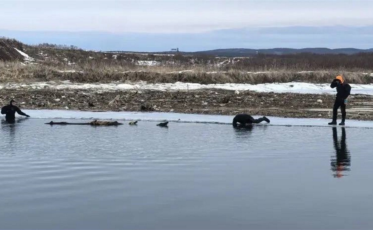 Следком возбудил уголовное дело по факту исчезновения ребенка в Пензенском