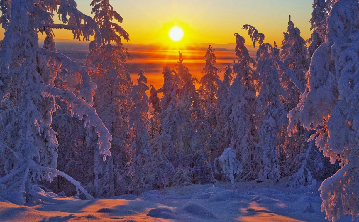 Погода 26 февраля: Сахалинскую область ждёт ясный и морозный день