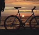 Сахалинские полицейские нашли серийного угонщика велосипедов предпенсионного возраста