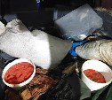 "Хотели обогатиться": на Сахалине задержали двоих браконьеров, потрошивших горбушу на реке