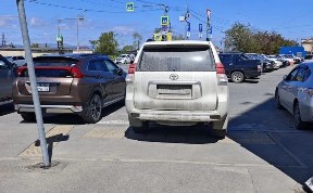 Общество