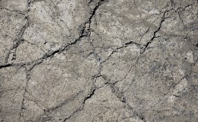 Происшествия