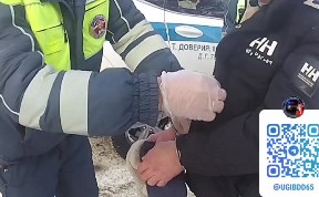 Происшествия