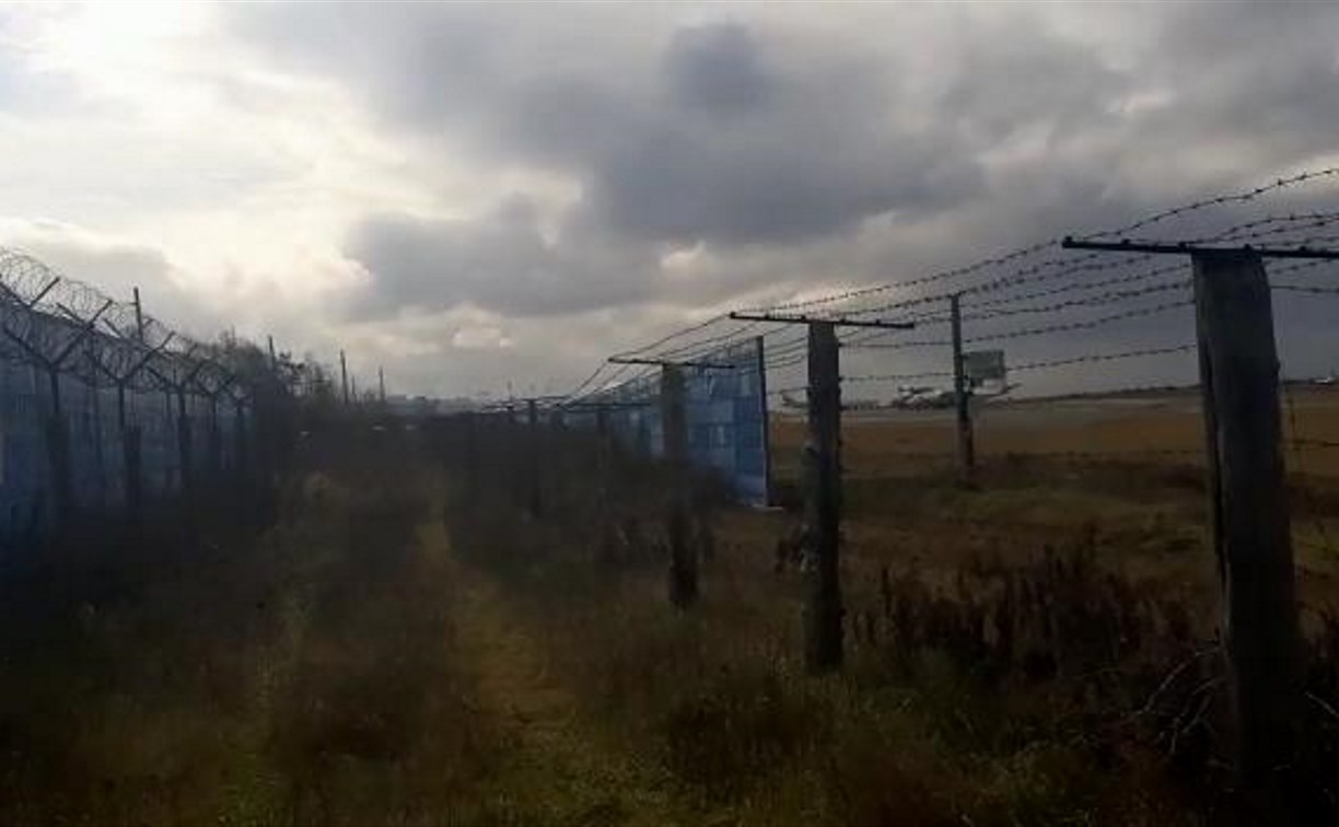 Аэродромная служба аэропорта Южно-Сахалинска спасала собаку, застрявшую между двух заборов
