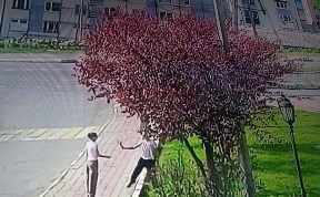 Общество