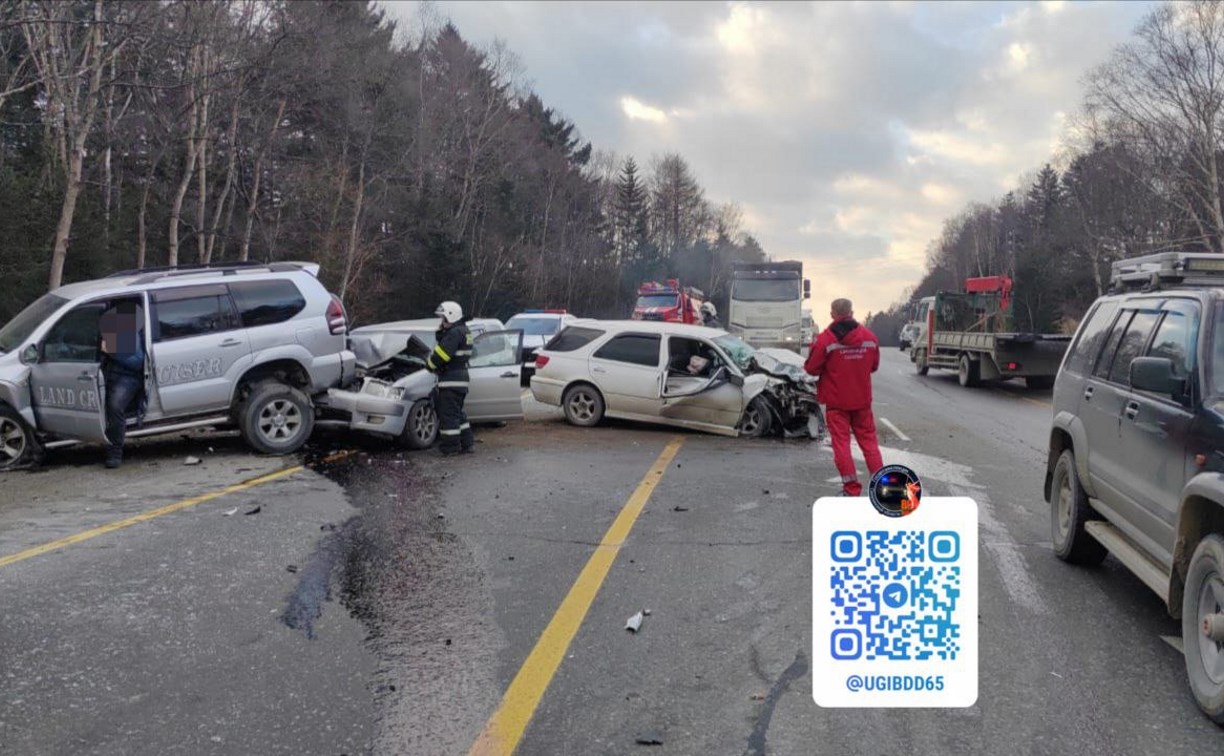 "Виста" вылетела на встречку: стали известны обстоятельства жёсткого ДТП на корсаковской трассе