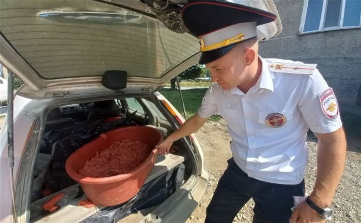 На Сахалине мужчина попал в ДТП, пытаясь скрыться от полиции с браконьерской икрой на 8 млн рублей