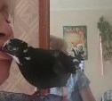 На Сахалине живёт женщина, приручившая голубя