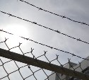 В Госдуму внесли законопроект о немедленном освобождении больных заключённых