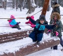 Игра в снежки, хороводы и кёрлинг: Рождество отметили в городском парке Южно-Сахалинска