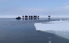 Происшествия