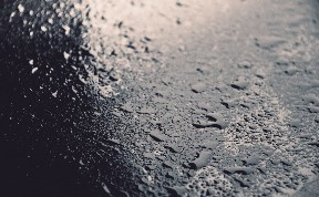 Общество