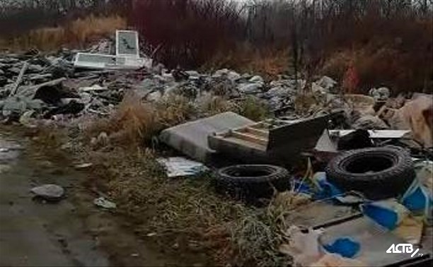 Несколько машин мусора вывалили неизвестные на окраине Южно-Сахалинска