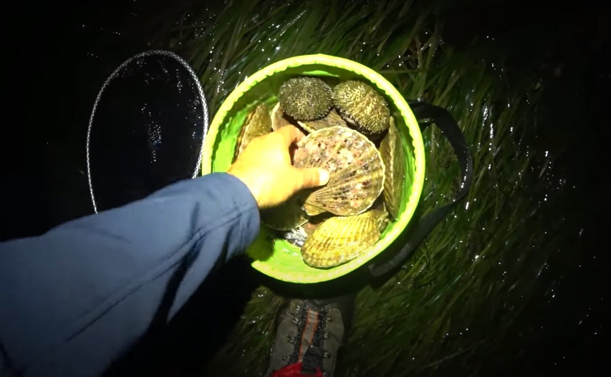 Что открывает большой отлив: сахалинец ночью собрал два ведра вкуснейших морепродуктов